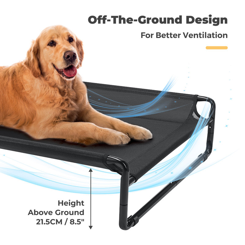 Dog beds raised off the floor hot sale
